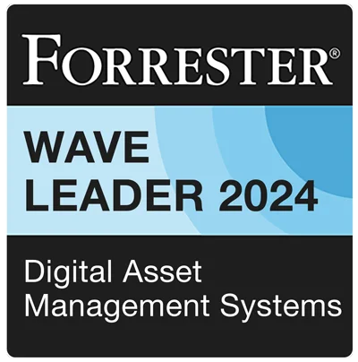 Forrester DAM Wave Badge 2024