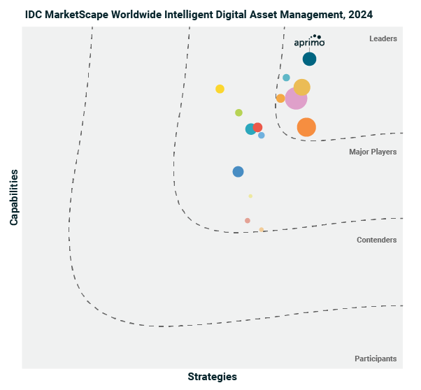 IDC 2024 MarketScape